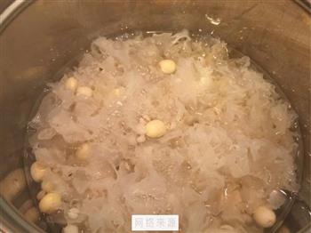 雪耳莲子汤怎么做，雪耳莲子汤怎么做好吃，雪耳莲子汤做法