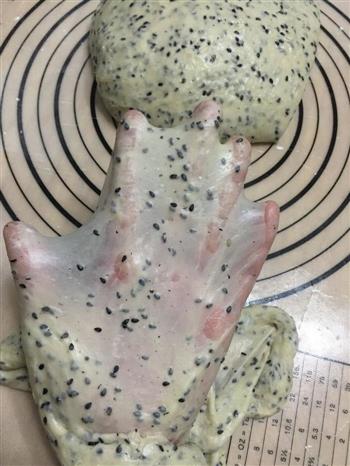 中种黑芝麻吐司怎么做，中种黑芝麻吐司怎么做好吃，中种黑芝麻吐司做法