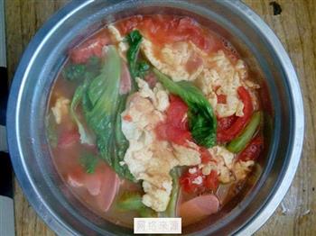 番茄鸡鸡汤怎么做，番茄鸡鸡汤怎么做好吃，番茄鸡鸡汤做法