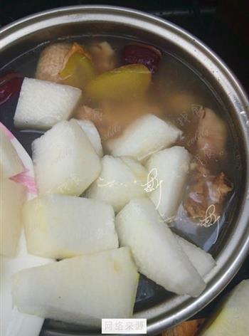 薏米冬瓜老鸭汤怎么做，薏米冬瓜老鸭汤怎么做好吃，薏米冬瓜老鸭汤做法