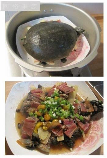 豉汁甲鱼怎么做，豉汁甲鱼怎么做好吃，豉汁甲鱼做法