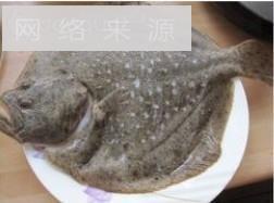 葱油多宝鱼怎么做，葱油多宝鱼怎么做好吃，葱油多宝鱼做法