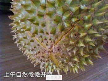 榴莲壳煲骨汤怎么做，榴莲壳煲骨汤怎么做好吃，榴莲壳煲骨汤做法