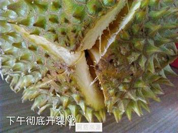 榴莲壳煲骨汤怎么做，榴莲壳煲骨汤怎么做好吃，榴莲壳煲骨汤做法