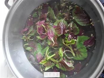 红苋菜汤怎么做，红苋菜汤怎么做好吃，红苋菜汤做法