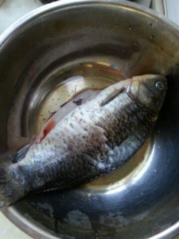 乱味鲫鱼怎么做，乱味鲫鱼怎么做好吃，乱味鲫鱼做法