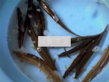 泥鳅栗子汤怎么做，泥鳅栗子汤怎么做好吃，泥鳅栗子汤做法