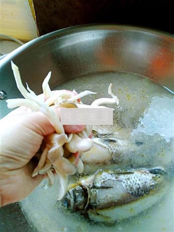 鲜味平菇鲫鱼汤怎么做，鲜味平菇鲫鱼汤怎么做好吃，鲜味平菇鲫鱼汤做法