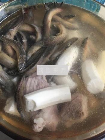 泥鳅茨实煲淮山怎么做，泥鳅茨实煲淮山怎么做好吃，泥鳅茨实煲淮山做法