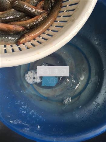 泥鳅茨实煲淮山怎么做，泥鳅茨实煲淮山怎么做好吃，泥鳅茨实煲淮山做法