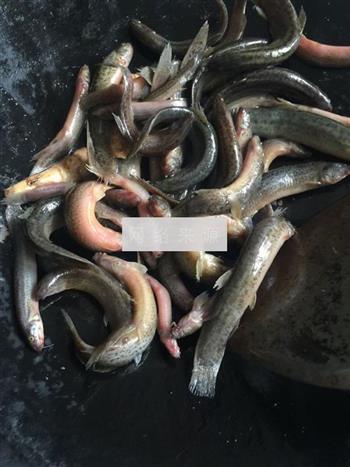 泥鳅茨实煲淮山怎么做，泥鳅茨实煲淮山怎么做好吃，泥鳅茨实煲淮山做法