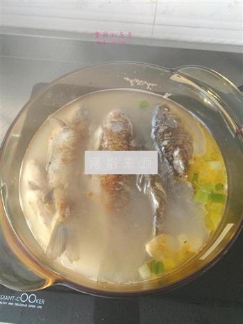 鲫鱼荷包蛋怎么做，鲫鱼荷包蛋怎么做好吃，鲫鱼荷包蛋做法