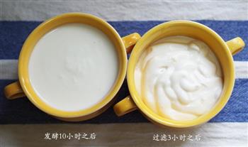自制希腊酸奶怎么做，自制希腊酸奶怎么做好吃，自制希腊酸奶做法