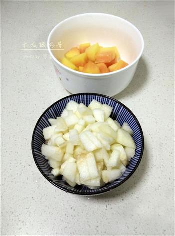 木瓜酸奶昔怎么做，木瓜酸奶昔怎么做好吃，木瓜酸奶昔做法