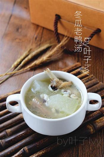 广东靓汤-冬瓜老鸭汤怎么做，广东靓汤-冬瓜老鸭汤怎么做好吃，广东靓汤-冬瓜老鸭汤做法