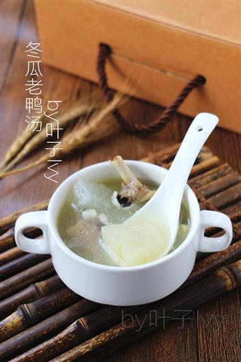 广东靓汤-冬瓜老鸭汤怎么做，广东靓汤-冬瓜老鸭汤怎么做好吃，广东靓汤-冬瓜老鸭汤做法