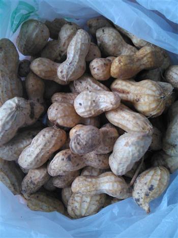 花生谷物燕麦怎么做，花生谷物燕麦怎么做好吃，花生谷物燕麦做法