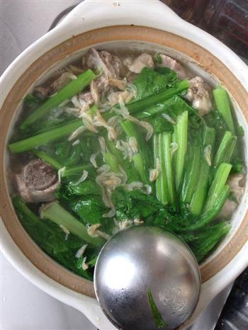 春菜排骨煲怎么做，春菜排骨煲怎么做好吃，春菜排骨煲做法