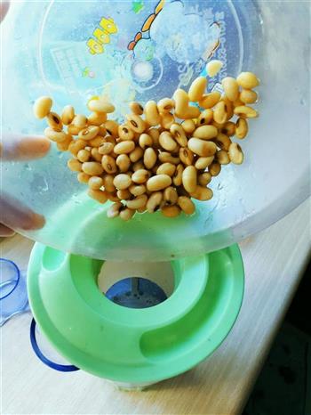 美白豆浆—美的早安豆浆怎么做，美白豆浆—美的早安豆浆怎么做好吃，美白豆浆—美的早安豆浆做法