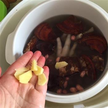 灵芝花生鸡脚汤怎么做，灵芝花生鸡脚汤怎么做好吃，灵芝花生鸡脚汤做法