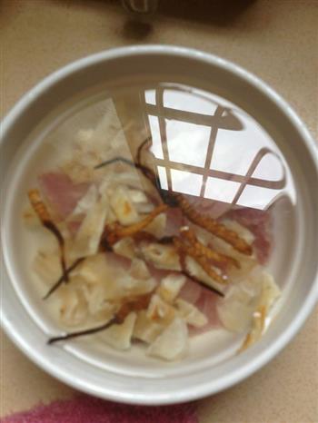 冬虫草花胶瘦肉汤怎么做，冬虫草花胶瘦肉汤怎么做好吃，冬虫草花胶瘦肉汤做法
