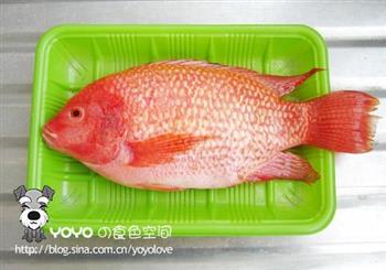 加吉鱼汤怎么做，加吉鱼汤怎么做好吃，加吉鱼汤做法
