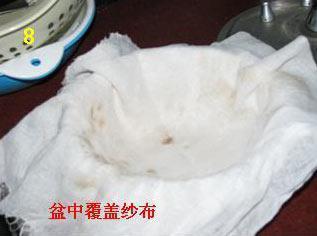 仙草冻怎么做，仙草冻怎么做好吃，仙草冻做法