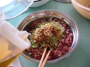 红萝卜牛肉饺怎么做，红萝卜牛肉饺怎么做好吃，红萝卜牛肉饺做法