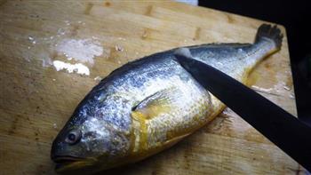 西班牙火腿蒸桂花黃魚怎么做，西班牙火腿蒸桂花黃魚怎么做好吃，西班牙火腿蒸桂花黃魚做法