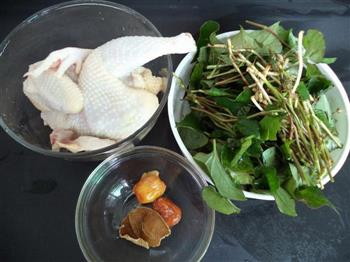 鱼腥草煲鸡怎么做，鱼腥草煲鸡怎么做好吃，鱼腥草煲鸡做法