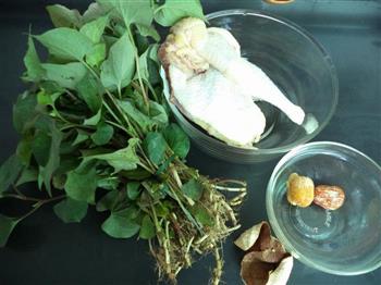 鱼腥草煲鸡怎么做，鱼腥草煲鸡怎么做好吃，鱼腥草煲鸡做法