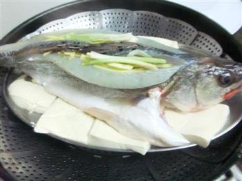 鲈鱼蒸豆腐怎么做，鲈鱼蒸豆腐怎么做好吃，鲈鱼蒸豆腐做法