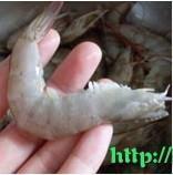 脆壳炸虾怎么做，脆壳炸虾怎么做好吃，脆壳炸虾做法