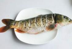 鲤鱼豆腐怎么做,鲤鱼豆腐怎么做好吃,鲤鱼豆腐做法 鲤鱼豆腐怎么做,鲤鱼豆腐怎么做好吃,鲤鱼豆腐做法