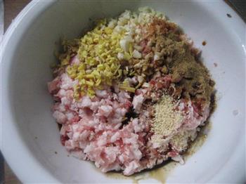 野香芥菜肉包怎么做，野香芥菜肉包怎么做好吃，野香芥菜肉包做法