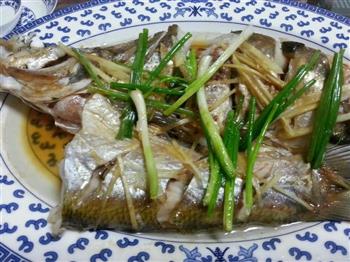 乐乐自家菜-清蒸太湖白鱼怎么做，乐乐自家菜-清蒸太湖白鱼怎么做好吃，乐乐自家菜-清蒸太湖白鱼做法