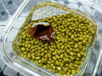 猪骨陈皮绿豆莲藕汤怎么做，猪骨陈皮绿豆莲藕汤怎么做好吃，猪骨陈皮绿豆莲藕汤做法