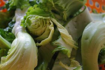 鲫鱼芥菜汤怎么做，鲫鱼芥菜汤怎么做好吃，鲫鱼芥菜汤做法