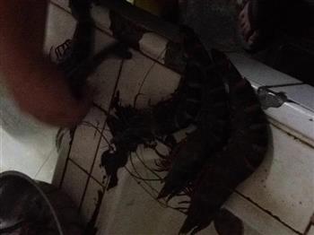 油浇大虾怎么做，油浇大虾怎么做好吃，油浇大虾做法