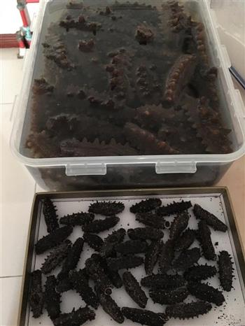 万无一失的海参泡发 方法二怎么做，万无一失的海参泡发 方法二怎么做好吃，万无一失的海参泡发 方法二做法