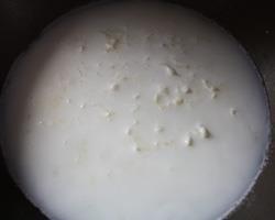 鲜奶银耳西米露怎么做，鲜奶银耳西米露怎么做好吃，鲜奶银耳西米露做法