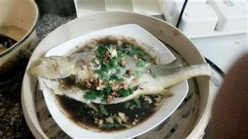 清蒸黄瓜鱼怎么做，清蒸黄瓜鱼怎么做好吃，清蒸黄瓜鱼做法