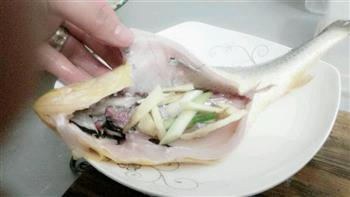 清蒸黄瓜鱼怎么做，清蒸黄瓜鱼怎么做好吃，清蒸黄瓜鱼做法