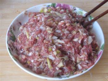 大葱羊肉锅贴怎么做，大葱羊肉锅贴怎么做好吃，大葱羊肉锅贴做法
