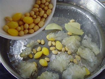 白果黄豆鲫鱼汤怎么做，白果黄豆鲫鱼汤怎么做好吃，白果黄豆鲫鱼汤做法