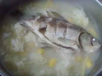 白果黄豆鲫鱼汤怎么做，白果黄豆鲫鱼汤怎么做好吃，白果黄豆鲫鱼汤做法