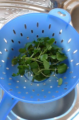 西洋菜蜜枣鸡汤怎么做，西洋菜蜜枣鸡汤怎么做好吃，西洋菜蜜枣鸡汤做法