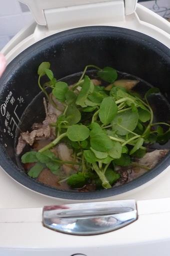 西洋菜蜜枣鸡汤怎么做，西洋菜蜜枣鸡汤怎么做好吃，西洋菜蜜枣鸡汤做法