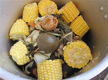 菜干罗汉果汤怎么做，菜干罗汉果汤怎么做好吃，菜干罗汉果汤做法
