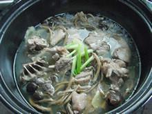 茶菇番鸭煲怎么做，茶菇番鸭煲怎么做好吃，茶菇番鸭煲做法